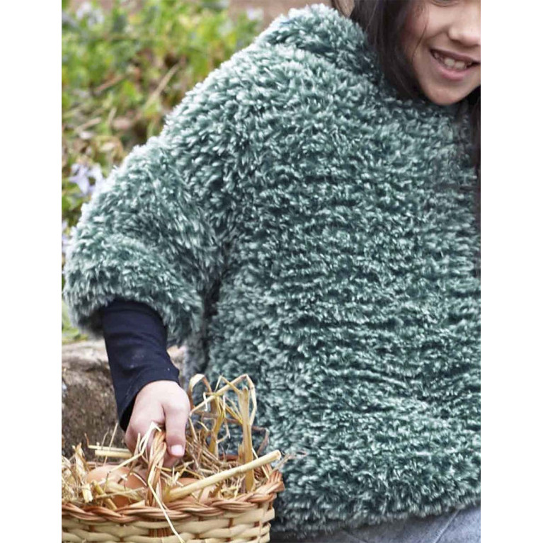 Modèle de Pull Polar