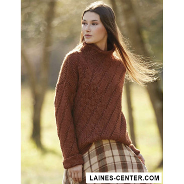 Modèle de Pull Big Merino