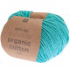 Essentials Organic Cotton aran 22