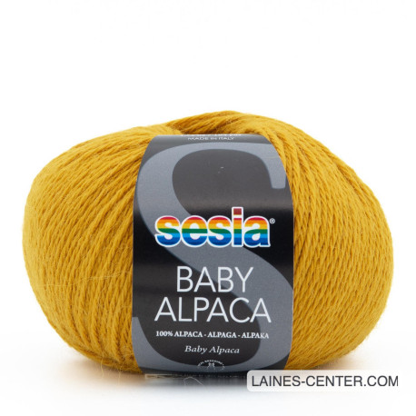 Baby Alpaca 229