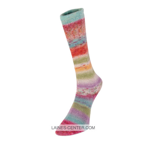 Carnival Socks 1