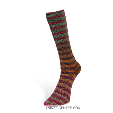6ply Paint Socks 6