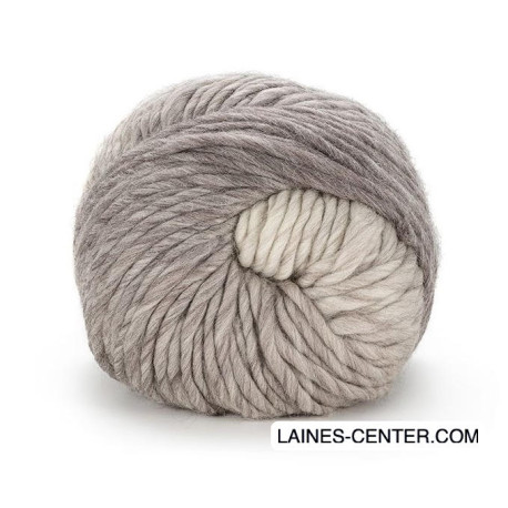 Chunky Dégradé 101