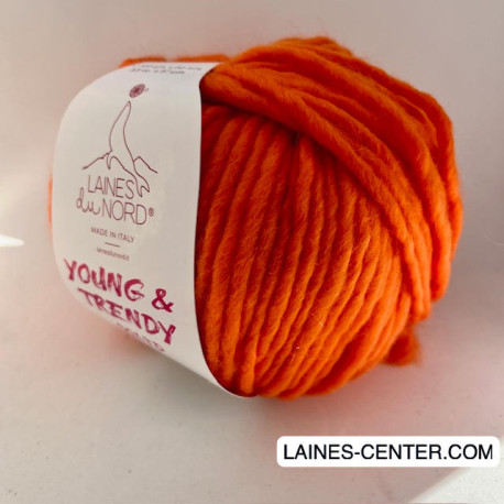 Young and Trendy Solid 107