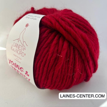 Young and Trendy Solid 206