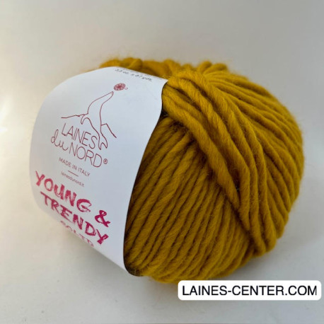 Young and Trendy Solid 208