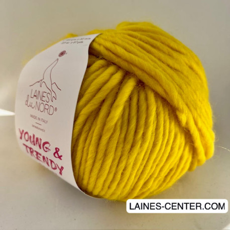 Young and Trendy Solid 300