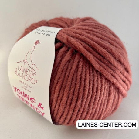 Young and Trendy Solid 500