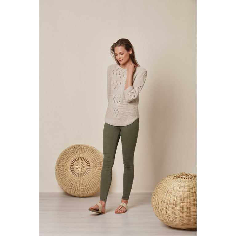 Modèle de Pull Cotton 100%