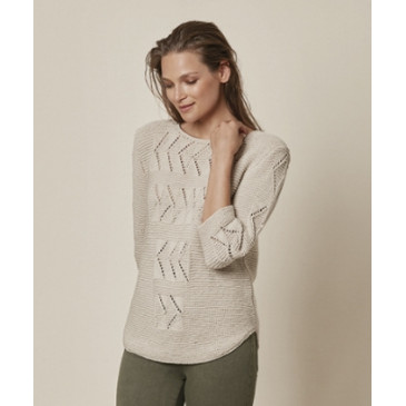 Modèle de Pull Cotton 100%