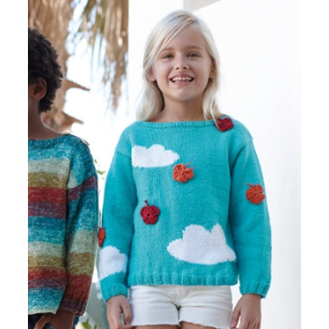 Modèle de Pull Alabama