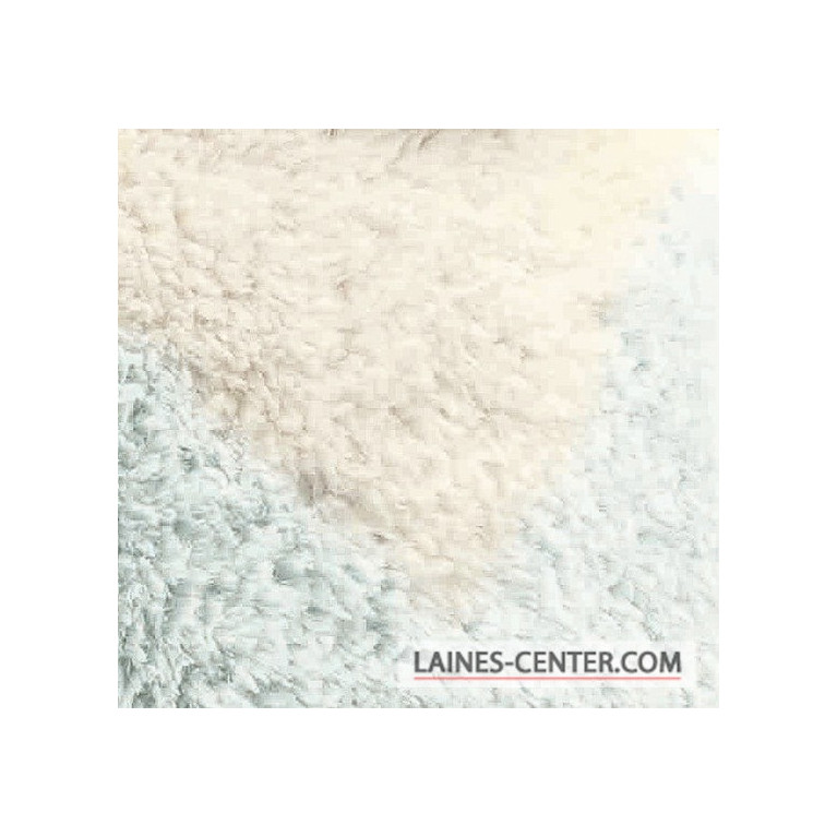 Modèle de Pull Polar