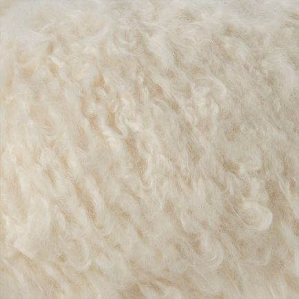 Plume 1