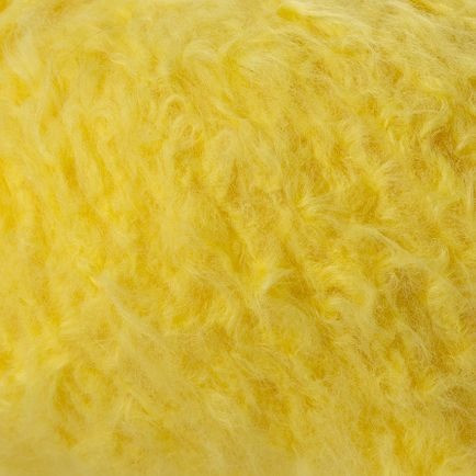 Plume 5