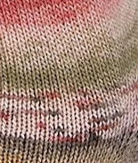 Carnival Socks 5