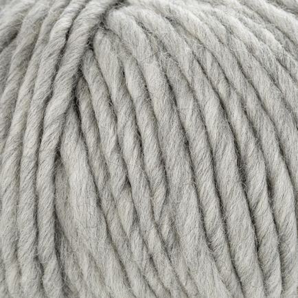 Young and Trendy Solid G1