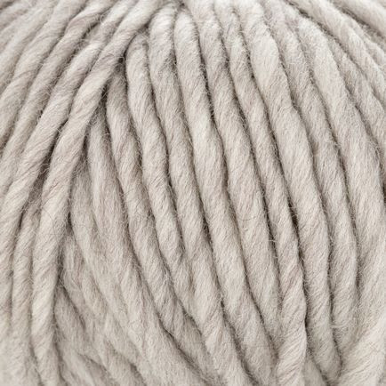 Young and Trendy Solid M1