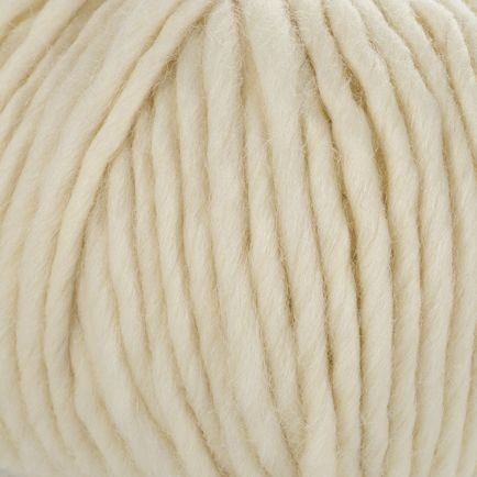 Young and Trendy Solid 100