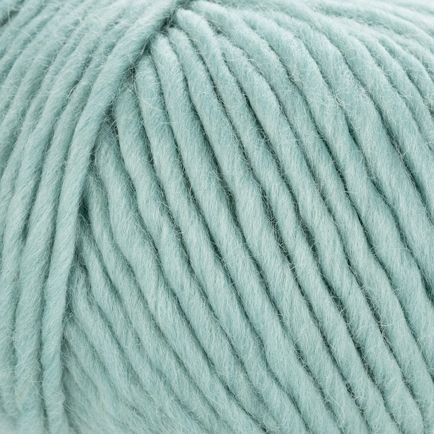 Young and Trendy Solid 101