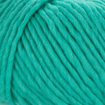 Young and Trendy Solid 105