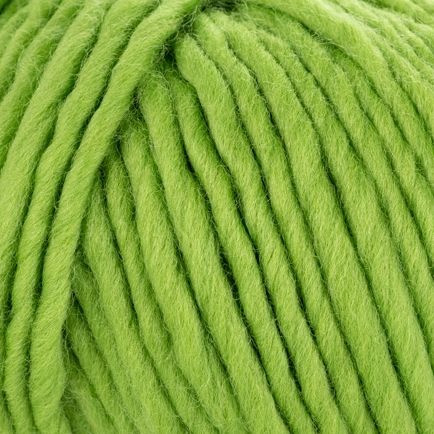 Young and Trendy Solid 106