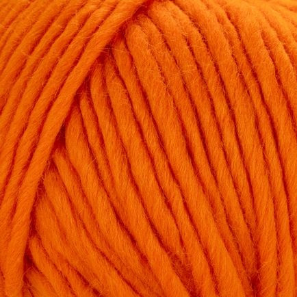 Young and Trendy Solid 107