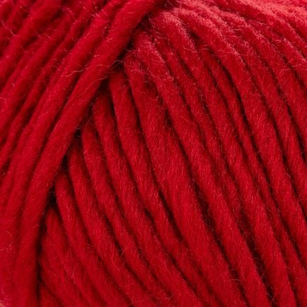 Young and Trendy Solid 206