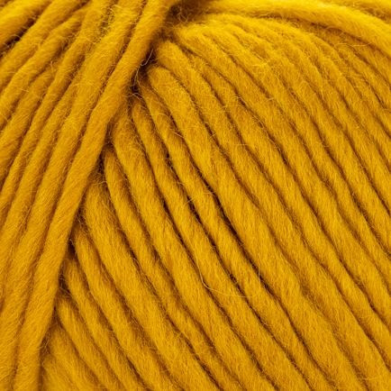 Young and Trendy Solid 208