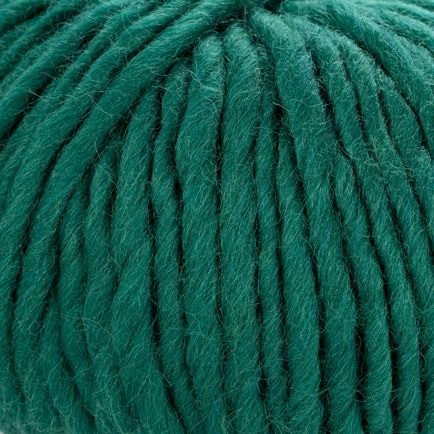 Young and Trendy Solid 209