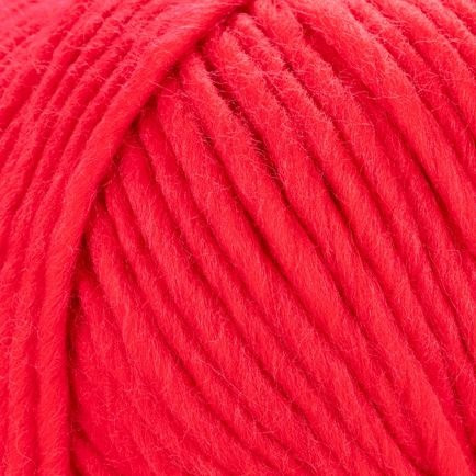 Young and Trendy Solid 211