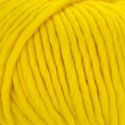 Young and Trendy Solid 300