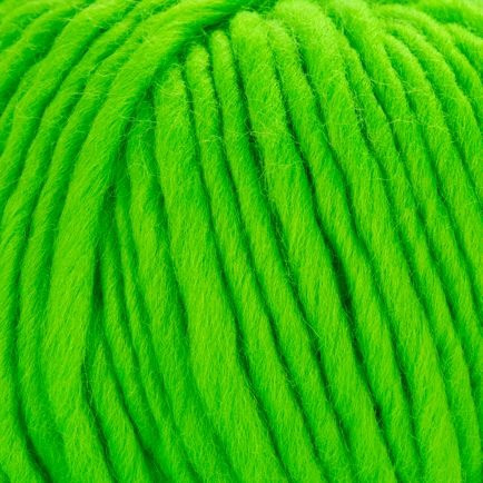 Young and Trendy Solid 305