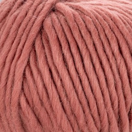 Young and Trendy Solid 500