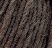 Young and Trendy Solid M2